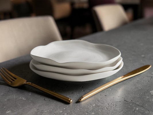 Aurn Nordic Matte Ceramic Dinner Plates | Minimalist Round Tableware Set