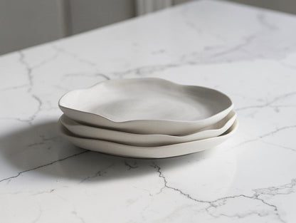 Aurn Nordic Matte Ceramic Dinner Plates | Minimalist Round Tableware Set